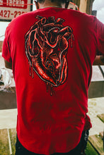 Load image into Gallery viewer, Transplant