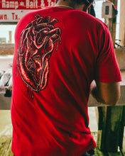 Load image into Gallery viewer, Transplant